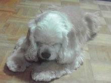 YUUNA BLOG-111214_2141~01.jpg