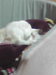 YUUNA BLOG-111221_2218~01.jpg