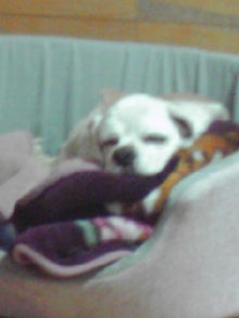 YUUNA BLOG-111221_2225~01.jpg