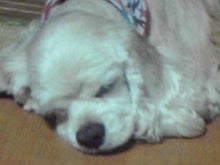 YUUNA BLOG-111123_2350~01.jpg