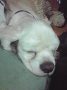 YUUNA BLOG-120118_2255~02.jpg