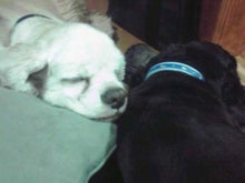 YUUNA BLOG-120118_2256~01.jpg