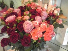 YUUNA BLOG-120204_1349~01.jpg