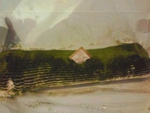 お手入れレッスン会