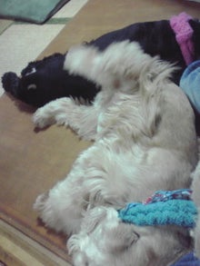 YUUNA BLOG-120223_2207~02.jpg