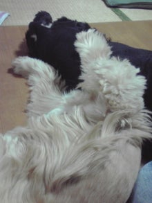 YUUNA BLOG-120223_2207~01.jpg