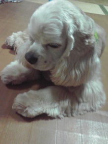 YUUNA BLOG-120302_1957~01.jpg