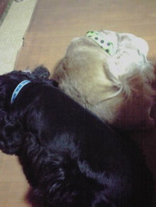 YUUNA BLOG-120303_1841~01.jpg