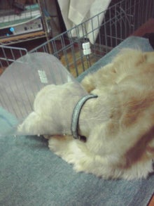 YUUNA BLOG-120307_2210~01.jpg