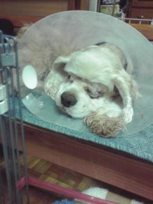 YUUNA BLOG-120307_2210~02.jpg