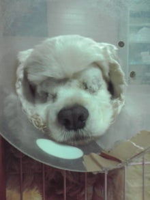 YUUNA BLOG-120319_2145~01.jpg