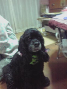 YUUNA BLOG-120317_2223~01.jpg