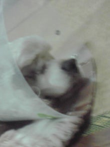 忙しかったあ～(≧ω≦)b