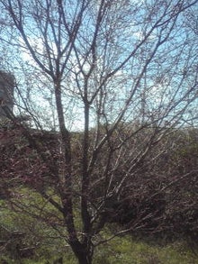 YUUNA BLOG-120326_1412~01.jpg