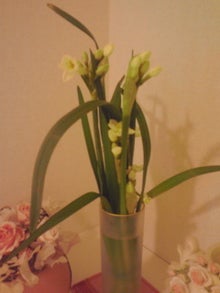 YUUNA BLOG-120329_1643~01.jpg