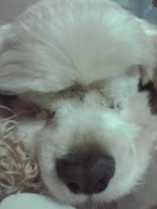 YUUNA BLOG-120326_2135~01.jpg