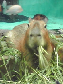 YUUNA BLOG-120331_1300~01.jpg