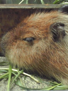 YUUNA BLOG-120331_1259~01.jpg