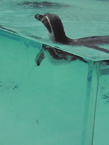 YUUNA BLOG-120331_1157~01.jpg