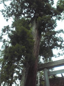 YUUNA BLOG-120401_1136~01.jpg