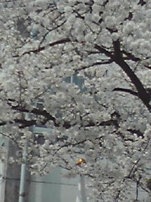 YUUNA BLOG-120409_1125~01.jpg