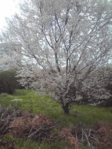 YUUNA BLOG-120409_1359~01.jpg