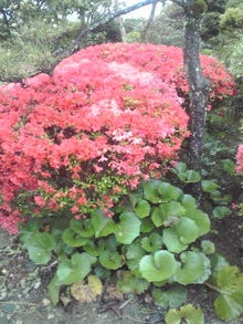 YUUNA BLOG-120423_1052~01.jpg