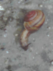 YUUNA BLOG-120423_1053~01.jpg