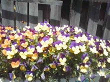 YUUNA BLOG-120428_1216~02.jpg