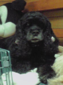 YUUNA BLOG-120430_2132~04.jpg