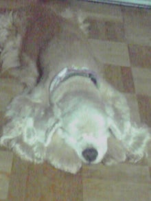 YUUNA BLOG-120501_2309~01.jpg