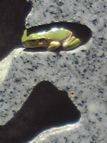 YUUNA BLOG-120505_1220~01.jpg