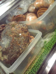 YUUNA BLOG-120519_2017~01.jpg