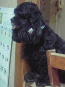 YUUNA BLOG-120519_2330~02.jpg