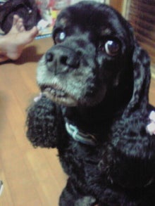 YUUNA BLOG-120526_2232~01.jpg