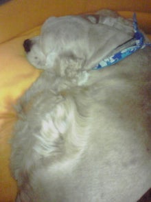 YUUNA BLOG-120525_2340~01.jpg