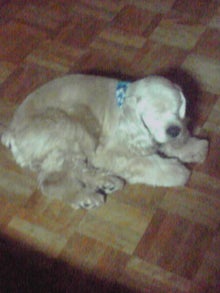 YUUNA BLOG-120608_0022~01.jpg