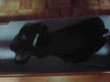 YUUNA BLOG-120608_0023~01.jpg