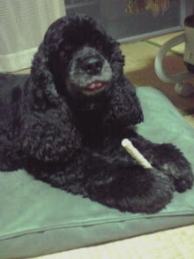 YUUNA BLOG-120627_2349~01.jpg