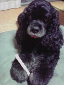 YUUNA BLOG-120627_2351~01.jpg