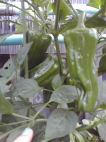 YUUNA BLOG-120630_1646~02.jpg