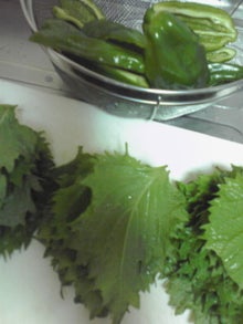 YUUNA BLOG-120704_1912~01.jpg