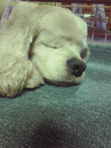 YUUNA BLOG-120430_2132~02.jpg