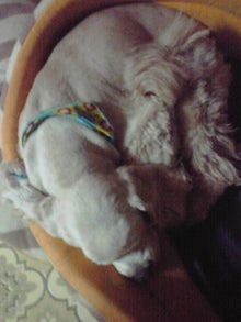 YUUNA BLOG-120712_2330~02.jpg