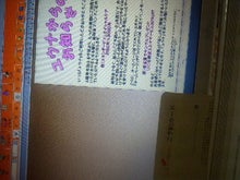 YUUNA BLOG-image_0001.jpg