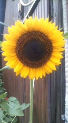 YUUNA BLOG-120721_0830~01.jpg