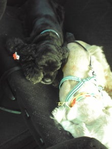 YUUNA BLOG-120729_1639~01.jpg