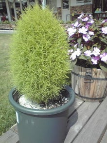 YUUNA BLOG-120730_0930~01.jpg