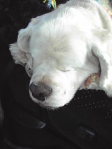 YUUNA BLOG-120729_1554~01.jpg