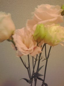 後輩くんが名古屋にきたよ